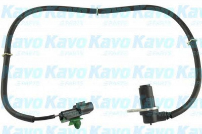 KAVO PARTS bas5544 -  Датчик, частота вращения колеса